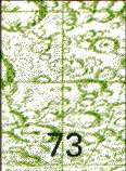 Moretus Area